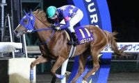 【エーデルワイス賞回顧】スピードの違いで5連勝ソロユニット(斎藤修)