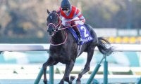 【菊花賞見どころ】コントレイルが父ディープインパクト以来の偉業に挑む