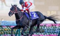 2週連続無敗の三冠馬誕生なるか!? GI菊花賞に注目/今週の競馬界の見どころ