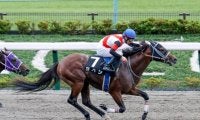 【JRA・WIN5】1レース目で13番人気がV　配当は3069万2920円に