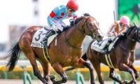【東京5R新馬戦結果】2番人気ヴァイスメテオールが初陣飾る