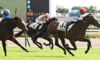 【新馬/東京5R】ヴァイスメテオールがデビューV！サトノクラウン半弟は敗れる