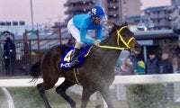 【埼玉新聞栄冠賞予想】世代を超えた実力馬が揃って混戦模様!!/NARレース展望