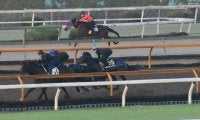 クロノジェネシス、天皇賞秋1週前追い切り速報/栗東トレセンニュース