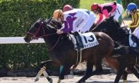 【門別競馬情報】得意の1800mで巻き返すかサイファリス。戦法一新、先行策で古馬編入後初Vかライトロング「ドレフォン・プレミアム」/地方競馬情報