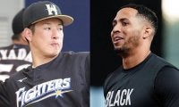 22日の公示　ロッテ・マーティン、阪神・ボーアが抹消　日ハムは吉田輝星を登録