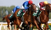 ウーマンズハートが引退、繁殖へ　昨年の新潟2歳S優勝馬