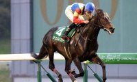 【盛岡・OROターフスプリント】ツーエムマイスターが4馬身差で圧勝！