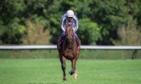 仏重賞勝ち馬 サヴァランが引退、繁殖入り