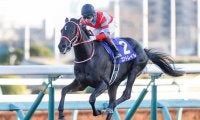 【菊花賞予想】 史上3頭目の無敗の3冠へ向けて視界良好!? 的中のポイントはコントレイルの相手探し!?/JRAレース展望