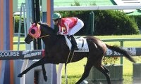 【京都8R・3歳上1勝結果】初ダートのアメリカンシードが7馬身差圧勝、驚愕の上がり34秒7