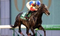 【盛岡・OROターフスプリント結果】ツーエムマイスターが移籍後3連勝で重賞初V