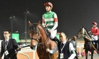 【JRA】チャンピオンズC、カペラS優勝馬にサウジC開催2競走の優先出走権を付与