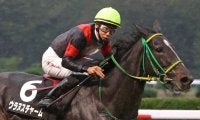 【新潟牝馬S】横山武「思い切って内から」ウラヌスチャームが7馬身差圧勝