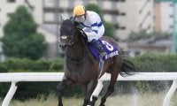【JBCレディスクラシック】サラーブら3頭が回避、ダノンレジーナは本橋孝太騎手に
