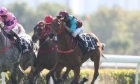 【香港スプリント】日本から8頭登録、海外勢は昨年覇者ビートザクロック、豪のネイチャーストリップなど