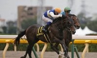 【天皇賞・秋予想】 1番人気がGI4連勝なら2着候補でひとヒネり！ 馬場と展開を味方につけられそうな馬は？/JRAレース展望