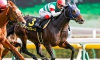 2連勝オーソクレースはホープフルS視野　マリアライトの仔