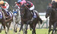 【次走】ペルシアンナイトはマイルCSへ　2017年の優勝馬