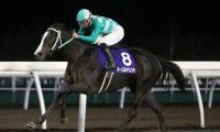 【門別競馬情報】いよいよ来週3日間が今季フィナーレ「第1回JBC2歳優駿JpnIII」「第63回道営記念H1」をお楽しみに！前節最終夜のメイン12Rは「三石産米トキノミノル特別」/地方競馬情報