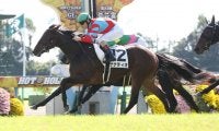 【新馬/京都4R】ディープ産駒 サナティオがデビューV！ダービー馬全妹は3着