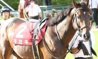 【天皇賞・秋】ベストターンドアウト賞はキセキが受賞