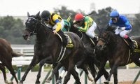 【カシオペアS結果】ランブリングアレーが抜け出し快勝
