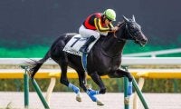 【東京4R新馬戦結果】グレートマジシャンが人気2頭の競り合いを制す