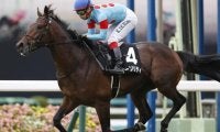 【アルゼンチン共和国杯 出走馬決定順】フルゲート18頭にユーキャンスマイル・オーソリティら22頭