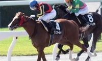【みやこS出走馬決定順】フルゲート16頭にワイドファラオ・クリンチャーなど11頭