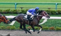 【門別競馬情報】かつて圧倒Vの王者と同じ臨戦パターン!JRA2戦2勝馬タイセイアゲインの走りが特に注目。迎え撃つ地方9頭の走りも大いに楽しみ「第1回JBC2歳優駿JpnIII」/地方競馬情報