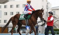 【先週のJRA抹消馬】マーメイドS覇者サラス、巴賞覇者ナイトオブナイツなど