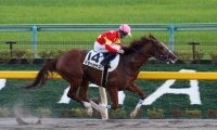 【門別競馬情報】馬産地日高で初開催「JBC」は発売面で大盛況!そしてシーズンは残り2日、今夜メイン12Rは「オルフェーヴル・プレミアム」/地方競馬情報