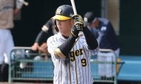 阪神、西純也や井上広大ら若手有望株がフェニックスLへ　参加選手22人発表