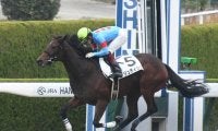 【阪神6R新馬戦結果】ジュディッタが人気に応えて快勝