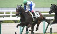 【阪神5R新馬戦結果】ヴェルトハイムが突き抜け快勝