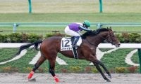 【東京5R新馬戦結果】関西馬イグナイターが7馬身差の圧勝