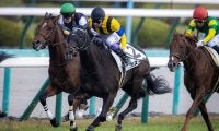 【新馬/阪神5R】武豊 オヌールが断然の支持に応える