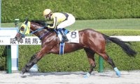 【新馬/阪神4R】ワイズマンハートが6馬身差圧勝V