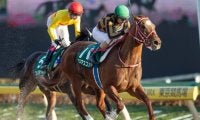 【武蔵野S】フルゲート16頭に19頭　抽選・除外の対象馬はオータムリーフSにも登録/出走馬決定順