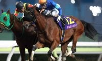ファッショニスタが引退、繁殖馬に　JBCレディスクラシックなどダートグレード競走3勝