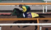 サートゥルナーリア、ジャパンC2週前追い切り速報/栗東トレセンニュース