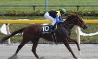 【武蔵野S展望】ダート重賞で屈指のスピードレース、あの穴馬に期待したい