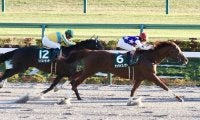 【武蔵野S】サンライズノヴァが重賞5勝目