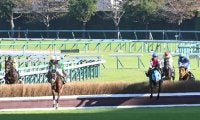 【京都JS】3着オジュウチョウサン、複勝1.0倍は6頭立て2着払いで不的中に