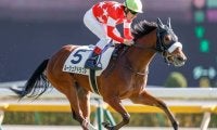 【東京6R新馬戦結果】ルージュアドラブルが抜け出し快勝