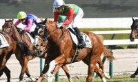 【阪神4R新馬戦結果】シゲルピンクルビーが人気に応え差し切りV、姉はシゲルピンクダイヤ