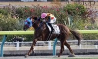 【福島9R】アスカリが5馬身差圧勝！人気に応える