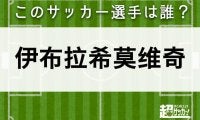 【伊布拉希莫维奇】このサッカー選手は誰？