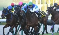 【アンドロメダS結果】3歳馬アドマイヤビルゴが差し切り2連勝
